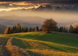 Widok z łąki na zamglone o poranku góry