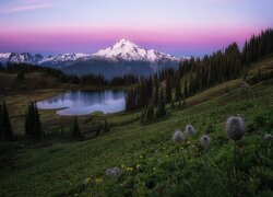 Widok z łąki nad jeziorem Tipsoo Lake na ośnieżone góry Mount Rainier