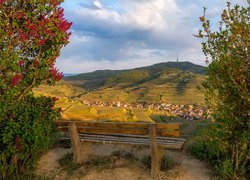 Widok z ławki na miasteczko Vogtsburg