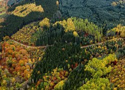 Widok z lotu ptaka na drogę pośród jesiennych drzew