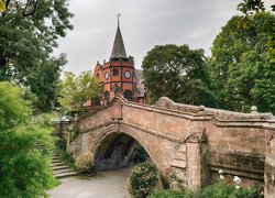 Most, Zamek, Wieża, Zegar, Droga, Drzewa, Rośliny