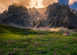 Góry Kantabryjskie, Masyw Picos de Europa, Polana, Kwiaty, Łąka, Dom, Asturia, Hiszpania