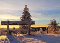 Widok z ośnieżonej ławeczki na świerki w zimowym słońcu