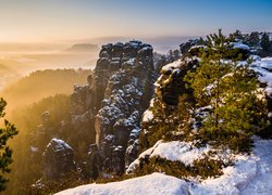 Niemcy, Park Narodowy Saskiej Szwajcarii, Góry Połabskie, Skały, Zima, Śnieg, Drzewa, Wschód słońca, Mgła