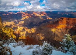 Park Narodowy Wielkiego Kanionu, Wielki Kanion Kolorado, Grand Canyon, Rośliny, Śnieg, Góry, Arizona, Stany Zjednoczone