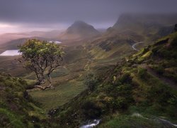 Góry, Jeziora, Mgła, Rośliny, Drzewo, Wyspa Skye, Szkocja