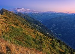 Widok z pasma górskiego Schladminger Tauern na lasy w dolinie