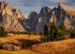 Dolomity, Góry Sassolungo, Drewniane, Domki, Płaskowyż Seiser Alm, Dolina Val Gardena, Drzewa, Włochy