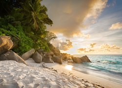 Widok z plaży na kamienie i palmy nad brzegiem morza