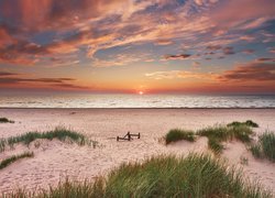 Plaża, Trawa, Morze Bałtyckie, Zachód słońca, Chmury, Polska