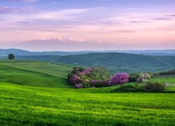 Widok z pól na zielone wzgórza i góry Olimp w Grecji