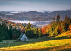 Jesień, Kolorowe, Drzewa, Las, Polana, Szopa, Góry, Polska