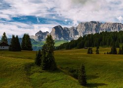 Góry, Polana, Drzewa, Domy