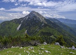 Widok z polany na zalesione góry w Alpach Kamnickich