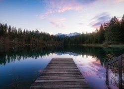 Widok z pomostu na góry za lasem