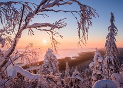 Widok z terenu Parku Narodowego Koli na jezioro Pielinen