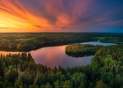 Finlandia, Zachód słońca, Jezioro Aulangonjärvi, Lasy, Drzewa