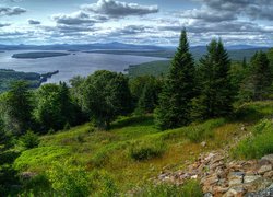 Chmury, Las, Drzewa, Kamienie, Stok, Rośliny, Jezioro, Mooselookmeguntic Lake, Stan Maine, Stany Zjednoczone