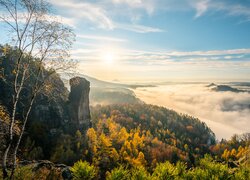 Niemcy, Park Narodowy Saskiej Szwajcarii, Góry Połabskie, Skały, Drzewa, Jesień, Mgła, Chmury, Wschód słońca