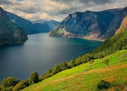 Widok z zielonych wzgórz na fiord Aurlandsfjord