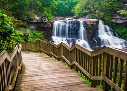 Stany Zjednoczone, Wirginia Zachodnia, Park stanowy Blackwater Falls, Wodospad Blackwater Falls, Las, Drzewa, Schody