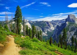 Góry, Sierra Nevada, Park Narodowy Yosemite, Ścieżka, Drzewa, Kalifornia, Stany Zjednoczone