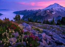 Widok ze skał na górę Mount Baker