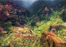 Stany Zjednoczone, Hawaje, Kauai, Waimea Canyon, Kanion, Góry, Doliny