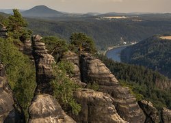 Skały, Drzewa, Park Narodowy Saskiej Szwajcarii, Rzeka Łaba, Góry Połabskie, Niemcy