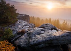 Widok ze skał na zamglony las