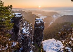 Góry Połabskie, Skały, Drzewa, Wschód słońca, Park Narodowy Saskiej Szwajcarii, Niemcy