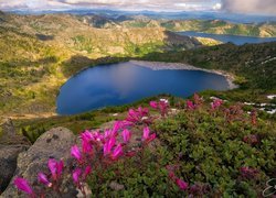 Widok ze szczytu Coldwater Peak na jeziora St. Helens i Spirit Lake