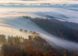 Widok ze szczytu Uetliberg na chmury i mgłę nad lasami