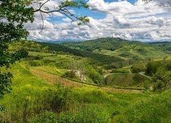 Widok ze wzgórza na winnice w Kaiserstuhl