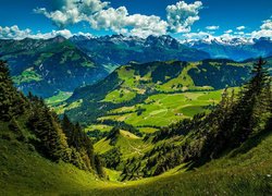 Widok ze wzgórza na zieloną dolinę w górach