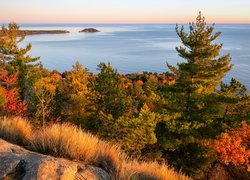 Jezioro, Superior Lake, Skała, Trawa, Kolorowe, Drzewa, Jesień, Michigan, Stany Zjednoczone