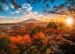 Japonia, Wyspa Honsiu, Miasto Fujiyoshida, Góra Fudżi, Krzewy, Drzewa, Jesień