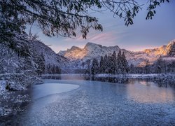 Austria, Region	Górna Austria, Góry, Alpy, Totes Gebirge, Jezioro Almsee, Zima, Ośnieżone, Drzewa, Las, Świerki, Wschód słońca