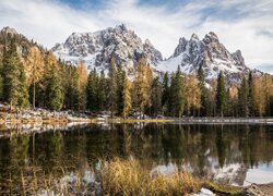 Jezioro, Antorno Lake, Góry, Dolomity, Masyw Tre Cime di Lavaredo, Drzewa, Prowincja Belluno, Włochy