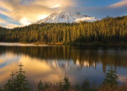 Stratowulkan Munt Rainier, Park Narodowy Mount Rainier, Drzewa, Chmury, Odbicie, Jezioro, Bench Lake, Stan Waszyngton, Stany Zjednoczone