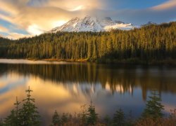 Widok znad jeziora Bench Lake na stratowulkan Mount Rainier