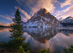 Kanada, Park Narodowy Banff, Góry, Szczyt Crowfoot Mountain, Jezioro Bow Lake, Drzewa