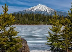 Góra, Mount Bachelor, Jezioro, Elk Lake, Drzewa, Sosny, Oregon, Stany Zjednoczone
