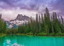 Widok znad jeziora Emerald Lake na góry w Parku Narodowym Yoho w Kanadzie