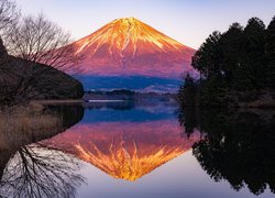 Widok znad jeziora Lake Tanuki na rozświetlony wulkan Fudżi w Japonii