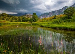 Góry, Chmury, Jezioro Sary Chelek, Drzewa, Trawy, Kirgistan, Prowincja Jalal Abad