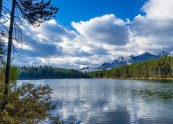 Widok znad jeziora na lasy i góry