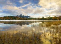 Jesień, Góry, Pasmo górskie, Adirondack, Jezioro, Trawa, Kolorowe, Drzewa, Stan Nowy Jork, Stany Zjednoczone