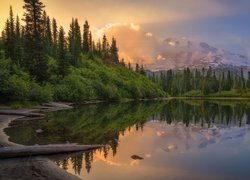 Jezioro, Góry, Drzewa, Las, Park Narodowy Mount Rainier, Stan Waszyngton, Stany Zjednoczone