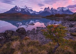 Chile, Patagonia, Park Narodowy Torres del Paine, Jezioro Pehoé, Góry Cordillera del Paine, Masyw Torres del Paine, Kamienie, Brzeg, Roślinność, Wschód słońca